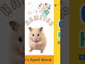 hamster vocabulary spelling_hamster word spelling.