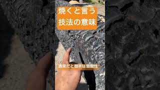 火事場の木に見る、焼きの意味