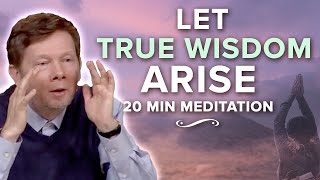 A Teaching on Inner Spaciousness: 20 Minute Meditation with Eckhart Tolle