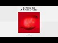 the wombats lemon to a knife fight official audio