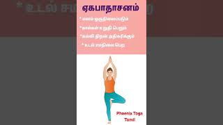 மனம் ஒருநிலைக்கு சிறந்த யோகா பயிற்சி | #ekapadasana #shorts