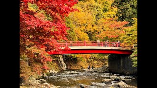 JG8K 青森 中野もみじ山 Aomori,Nakano Momijiyama in Autumn