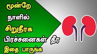 TO CURE KIDNEY PROBLEM IN 3 DAYS - மூன்றே நாளில் சிறுநீரக பிரச்சனைகள் தீர இதை பாருங்க - HEALTH TIPS