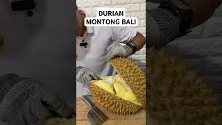 Luar BIASA DURIAN