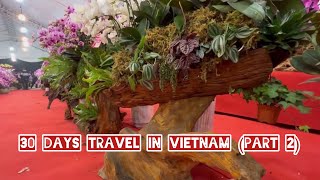 30 days travel in Vietnam (part 2) .What wonderful flowers for Tet holiday in Asia!