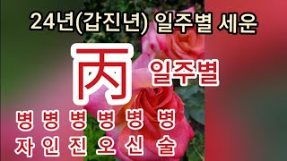 24년(갑진년)일주별세운-병화일주별