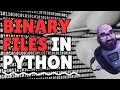 How to manipulate binary files in Python