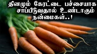 தினமும் கேரட்டை பச்சையாக சாப்பிடுவதால் உண்டாகும்   நன்மைகள்...! | Carrot | Benefits