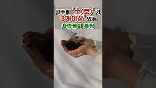 사주에 '土(토)' 가 '3개이상' 있는 사람들의 특징 #운세 #사주 #오행