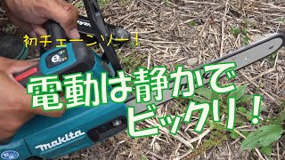 阿波晩茶の茶畑で電動チェーンソーを使い伐採に初挑戦！【makita MUC254D使用】