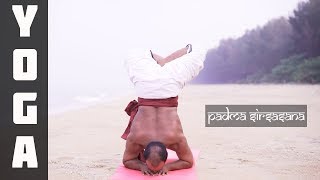 Yoga : How to Practice  Padma Sirsasana