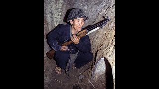 vietcong in bush ( discord meme)