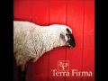 The Flashbulb - Terra Firma (Album Version)