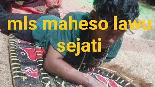 maheso lawu sejati sesi kalapan obarak aberk penoton