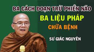 Ba Cách Đoạn Trừ Phiền Não- Ba Liệu Pháp Chữa Bệnh | Sư Giác Nguyên | Sư Toại Khanh
