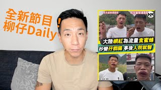 《柳仔Daily》（2022年9月6日）被蜂螫有咩反應？應該點做？十個你必需要知道關於蜜蜂的小知識﹗