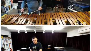 打擊樂演奏古典第73集Percussion VS Classical EP73 貝多芬鋼琴奏鳴曲\