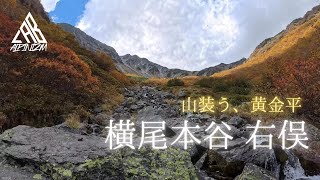 北ア 横尾本谷　山装う黄金平　～紅葉と歩荷～