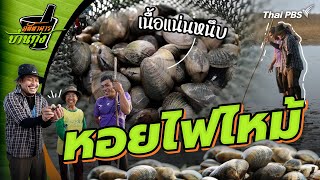 หอยไฟไหม้ | ภัตตาคารบ้านทุ่ง