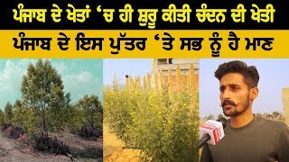 21 ਸਾਲਾ ਦੇ ਕਿਸਾਨ ਨੇ ਕਰਤੀ ਕਮਾਲ | Rozana Spokesman