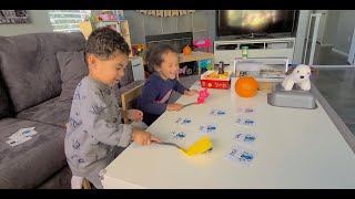 Fly Swatter Sight Word Game