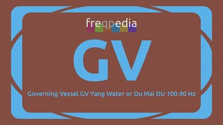 Governing Vessel  Meridian GV Yang Water 100.90 Hz