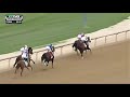 【競馬】シェアードビリーフ　shared belief【no 718】