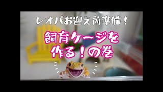 レオパお迎え前準備！飼育ケージをレイアウトするよ！