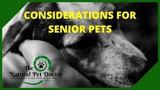 Natural Senior Dog and Cat Pet Care with The Natural Pet Doctor