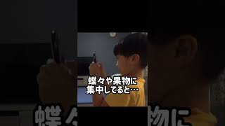 イケメン自閉症アキ　はらぺこあおむしAR #shorts