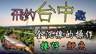 台中家庭旅遊偷跑母光~筏子溪、烏溪(飛釣全沉線、紅蟲毛鉤) #Mahseer #flyfishing #tips