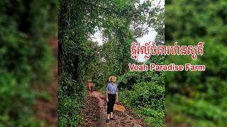 ភ្នំវល្ល៍ចំការឋានសួគ៌ / Voah Paradise Farm