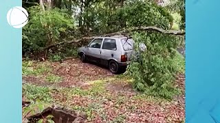 Governo do Estado cria centro de alerta para às mudanças climáticas