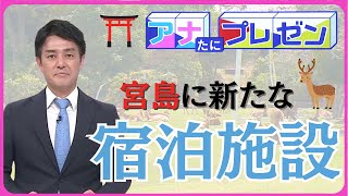 世界遺産の島・宮島に高級宿泊施設建設の計画　懸念の声も　【アナたにプレゼン・テレビ派】