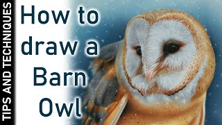 HOW TO DRAW A BARN OWL IN PASTELS | PASTEL TIPS