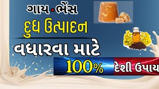 ભેંસ કાં દૂધ બઢાનેકા તરીકા/દેશી ઉપાય / How to increase Fat and Milk Cow/baffelo