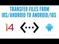 How to Transfer Files from iOS to Android and Vice Versa Using DrFone