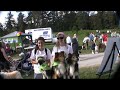 2009 iams wiggle waggle walkathon clip 15