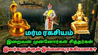 இப்படிப்பட்டவர்களா சித்தர்கள் ? இறைவன் முன்னோர்கள் சித்தர்கள் இவர்கள் எல்லாம் யார் தெரியுமா ?