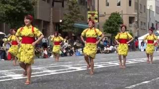 東京中野区新風エイサー／浄運寺会場／第30回 フェスタまちだ2016 町田エイサー祭り