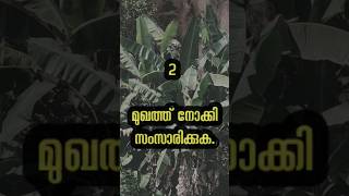 ബന്ധങ്ങൾ നിലനിൽക്കാൻ #youtubeshorts #psychology #motivational #health #smart #malayalam #trending