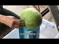 open a coconut in ten seconds and make a coconut opening machine. it turns out that opening a coc...