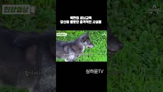 북한의 교육!  당신이 몰랐던 충격적인 사실들 #북한의 세뇌교육 #악랄한 북한 #유튜버