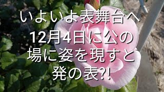 今日は何の日か知ってる？12月3日：カレンダーの日、妻の日、プレイステーションの日、みかんの日、着うたの日、「暮らしに除菌を」の日、くるみパンの日、みたらしだんごの日など•••まだあるよ😆💖🎶