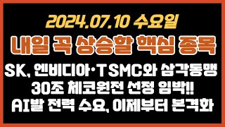 24.07.09(화) 내일 핵심 테마,종목/ SK, 엔비디아·TSMC와 삼각동맹/ 30조 체코원정 선정 임박!!/ AI발 전력수요, 이제부터 본격화/ #우리기술 , #대원전선