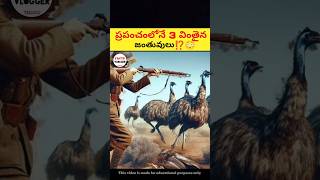 ప్రపంచంలోనే 3 వింతైన జంతువులు చూడండి 😳|🔥 intresting facts in Telugu|#shorts #facts #animals #viral