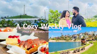 December නිවාඩුවට නුවරඑලියෙ ගෙදර ගියා|3 days in Nuwaraeliya home🍓🌷🌱 #nuwaraeliya #vlog #aesthetic