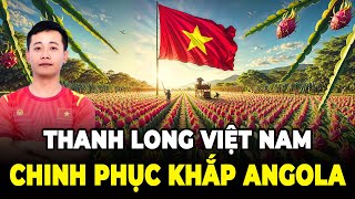 Nông Trại Thanh Long Của Team Quang Linh Chinh Phục Angola | Lãnh Đạo Angola Ấn Tượng