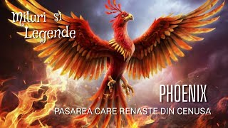 Phoenix - pasărea care renaște din cenușă | Mituri și legende