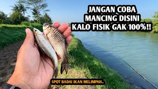 JAUH JAUH SAMPAI EROPA DEMI WADER!! Mancing wader dan lukas pakai umpan roti klik spot eropa